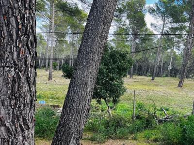 For sale Castellet 2 rooms 200 m2 Var (83330) photo 1