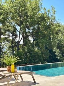 For sale Ollioules 6 rooms 132 m2 Var (83190) photo 2