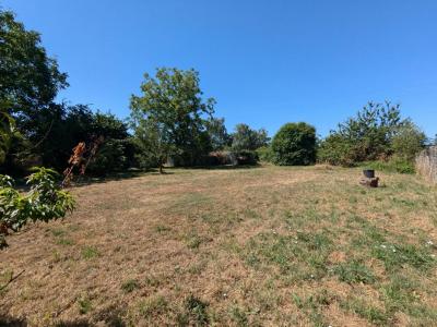 Annonce Vente 4 pices Maison Campbon 44