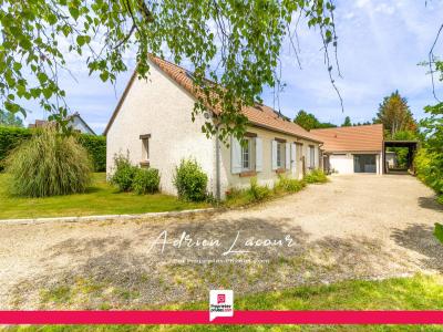 For sale Pruniers-en-sologne 8 rooms 205 m2 Loir et cher (41200) photo 0