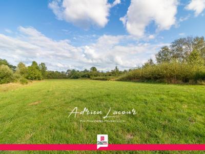 For sale Pruniers-en-sologne 4967 m2 Loir et cher (41200) photo 0