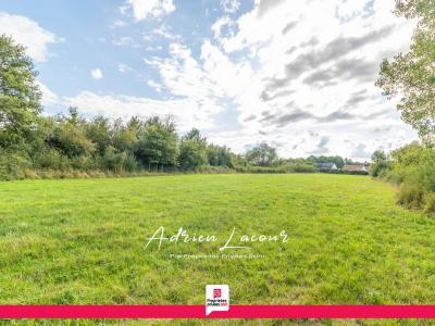 For sale Pruniers-en-sologne 5122 m2 Loir et cher (41200) photo 1