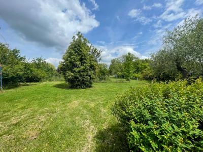 Annonce Vente 6 pices Maison Saint-sauveur 31