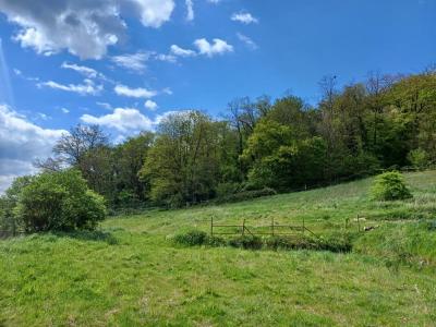 For sale Compiegne 8 rooms 190 m2 Oise (60200) photo 2