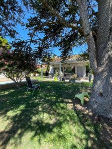 For sale Isle-sur-la-sorgue 6 rooms 180 m2 Vaucluse (84800) photo 4