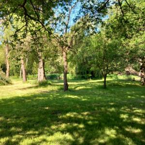 For sale Bouzy-la-foret 4 rooms 81 m2 Loiret (45460) photo 2