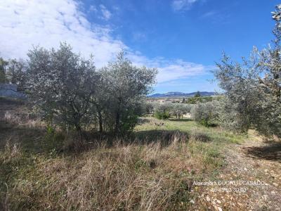 For sale Oraison 2847 m2 Alpes de haute provence (04700) photo 1