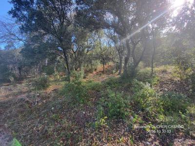 For sale Oraison 2847 m2 Alpes de haute provence (04700) photo 2
