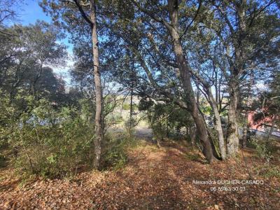 For sale Oraison 2847 m2 Alpes de haute provence (04700) photo 3