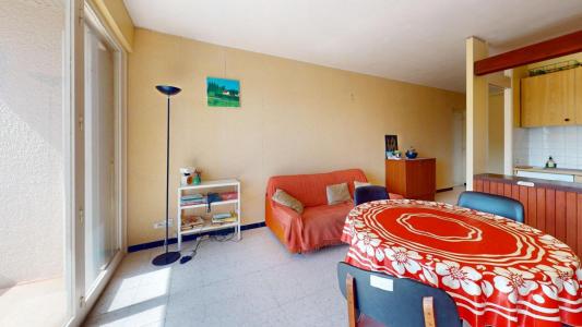 Acheter Appartement Saint-cyprien Pyrenees orientales