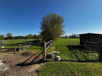 Acheter Maison 300 m2 Gennes