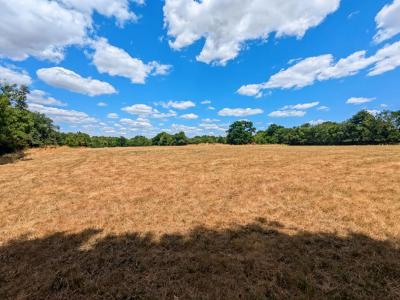For sale Coueron 8 rooms 253 m2 Loire atlantique (44220) photo 4