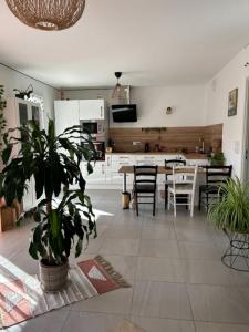 Annonce Vente 3 pices Appartement Toulon 83