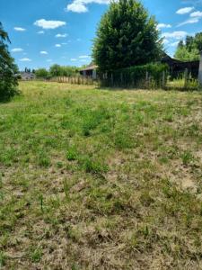 Acheter Terrain 3511 m2 Lorris