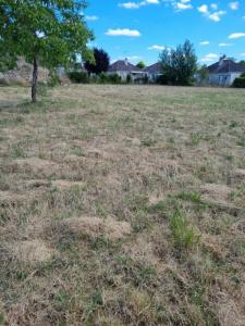 Acheter Terrain Lorris Loiret