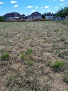 Acheter Terrain Lorris 89000 euros