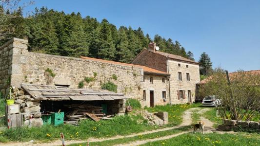 Acheter Maison Saint-regis-du-coin Loire