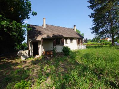 Annonce Vente 4 pices Maison Chatillon-coligny 45