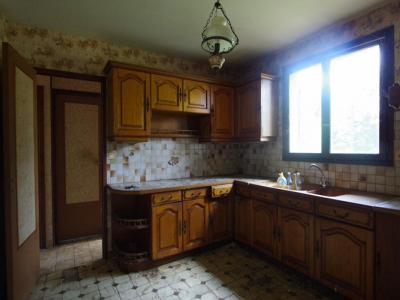 Acheter Maison Chatillon-coligny Loiret
