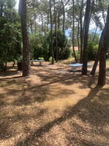 Acheter Maison 29 m2 Tranche-sur-mer