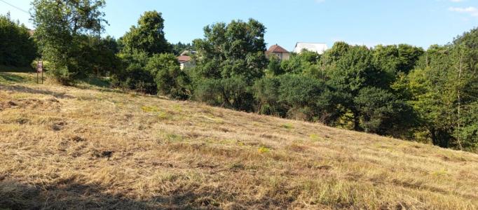 For sale Thulay 2740 m2 Doubs (25310) photo 2