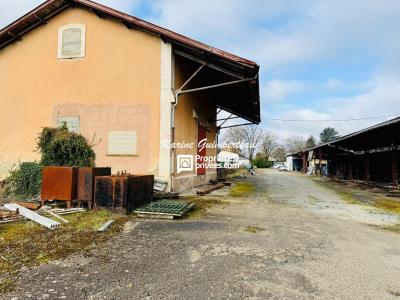 Annonce Vente Immeuble Velines 24