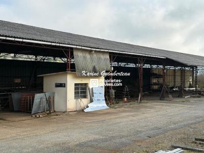 Acheter Immeuble Velines 399000 euros