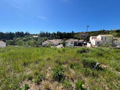 Acheter Terrain 596 m2 Clermont-l'herault