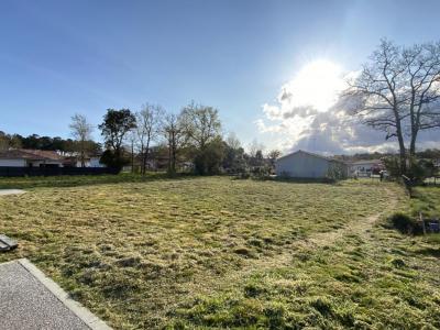 For sale Soustons 688 m2 Landes (40140) photo 0