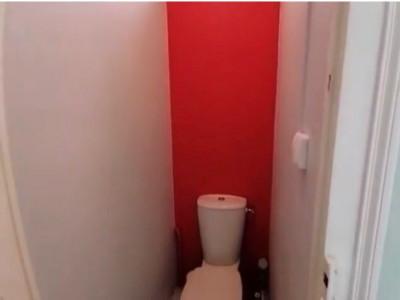 Annonce Location 2 pices Appartement Strasbourg 67
