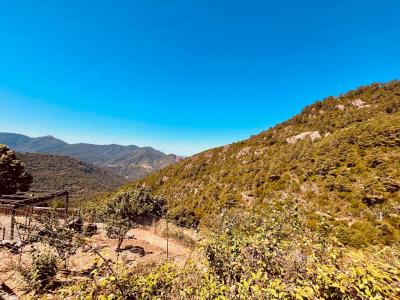 For sale Rosazia 2 rooms 52 m2 Corse (20121) photo 2