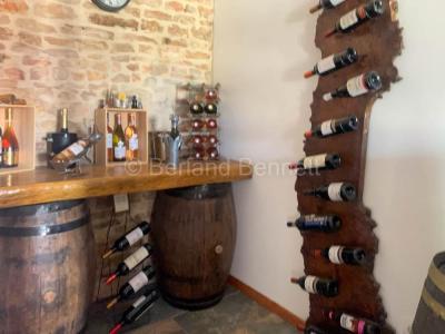 Acheter Maison 439 m2 Sauze-vaussais