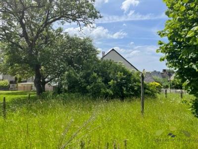 Annonce Vente 4 pices Maison Tarnac 19