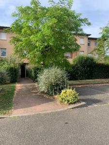 For rent Montauban 2 rooms 42 m2 Tarn et garonne (82000) photo 1