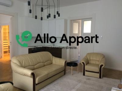 For rent Lyon-1er-arrondissement 2 rooms 43 m2 Rhone (69001) photo 1