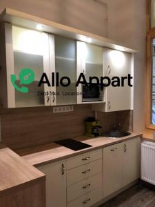 Annonce Location Appartement Annecy 74
