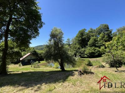 For sale Fresse 20 rooms 330 m2 Haute saone (70270) photo 0