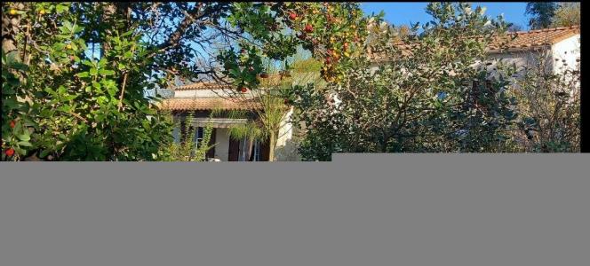 For sale 5 rooms 130 m2 Herault (34980) photo 2
