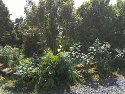 For sale 4 rooms 74 m2 Calvados (14380) photo 3