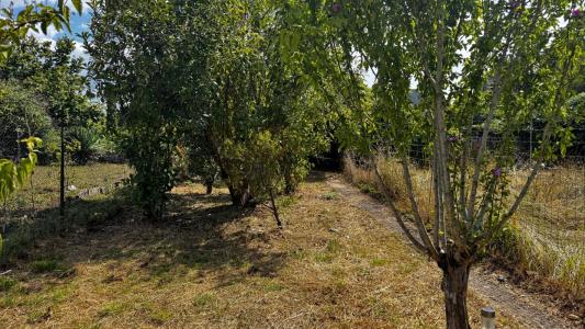 For sale Limogne-en-quercy 2 rooms 53 m2 Lot (46260) photo 4