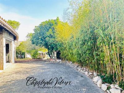 For sale Carcassonne 7 rooms 231 m2 Aude (11000) photo 2