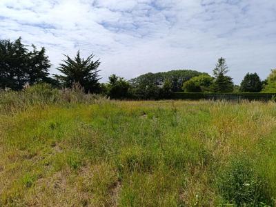 For sale Frehel 1200 m2 Cotes d'armor (22240) photo 0