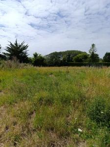 For sale Frehel 1200 m2 Cotes d'armor (22240) photo 1