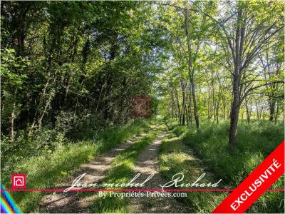 Annonce Vente Terrain Chemery 41