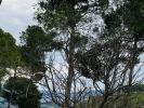 For sale Land Castellet 200 m2 2 pieces