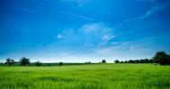 Vente Terrain Bras  15720 m2