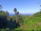 For sale Land Avirons 