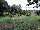 For sale Land Remire-montjoly 2459 m2