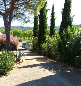 For sale Couiza 7 rooms 250 m2 Aude (11190) photo 2