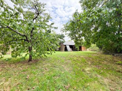 Annonce Vente 6 pices Maison Vicq-sur-nahon 36